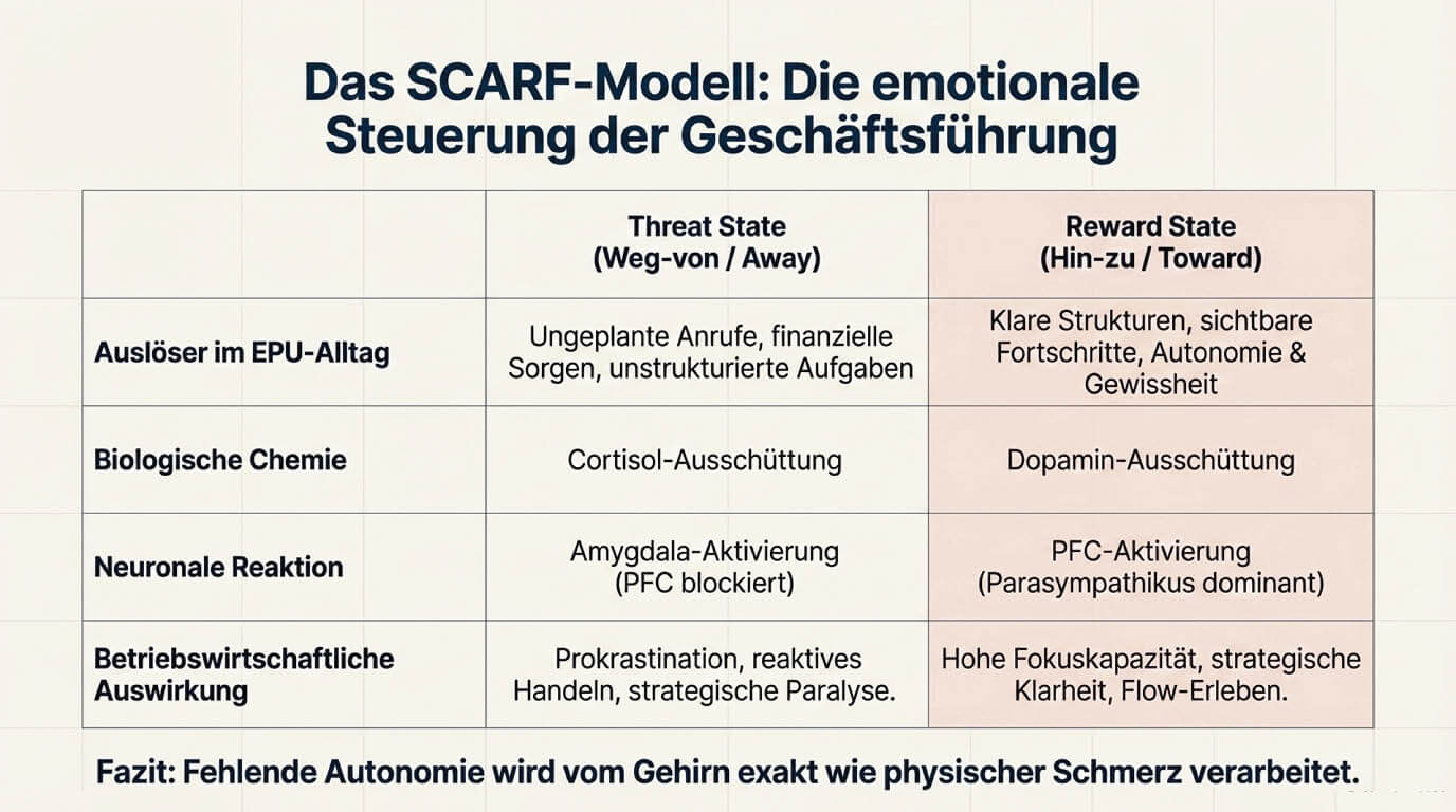 Tabellarische Übersicht des SCARF-Modells zur emotionalen Steuerung in der Geschäftsführung. Verglichen werden neuronale Bedrohungs- und Belohnungszustände (Cortisol vs. Dopamin). Das Fazit lautet: Fehlende Autonomie wird vom Gehirn wie physischer Schmerz verarbeitet.